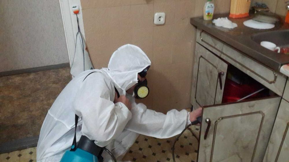 Таракан Клоп Бурга Блох Клещ Муравьи Скорпион Dezinfeksiya Дезинфекция