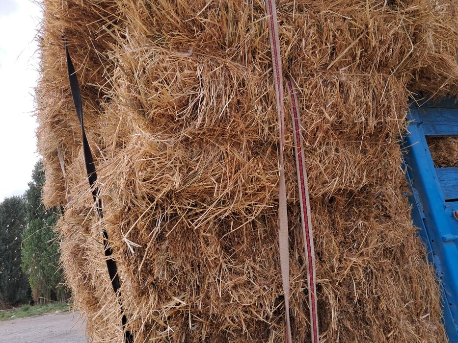 Сомон хашак беда прес бор