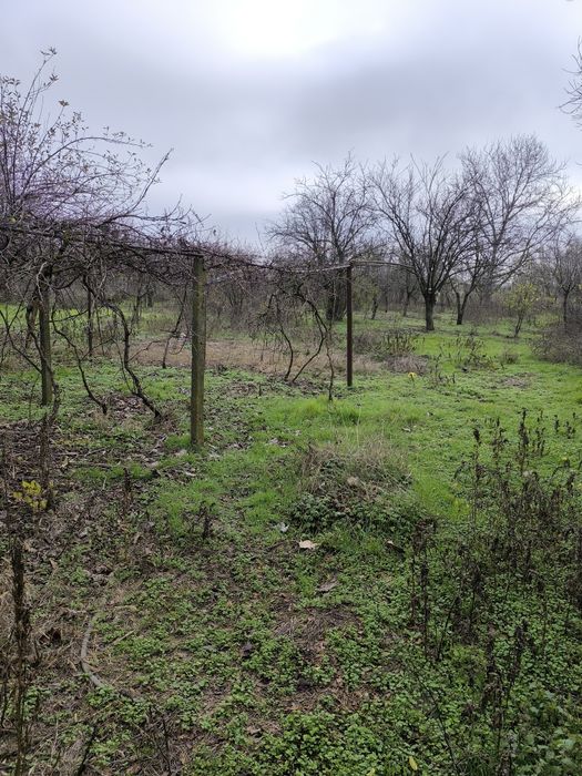 Двуетажна тухлена къща с гараж в село Дянково