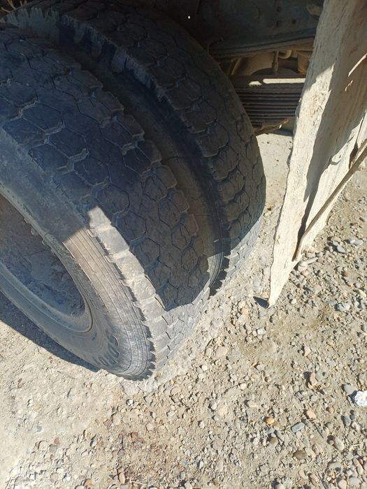 Zil balon 260 diskadi bilan