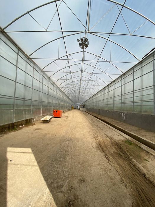 СРОЧНО Продаётся Турецкая теплица 1,5 млн у.е.