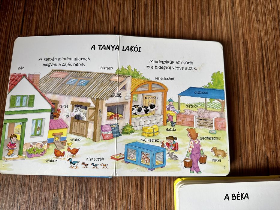 Carti pentru copii in lb. maghiara