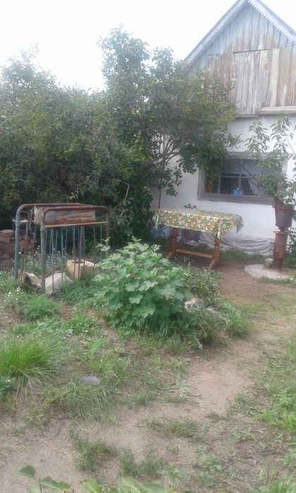 Продам дачу на Бухтарме