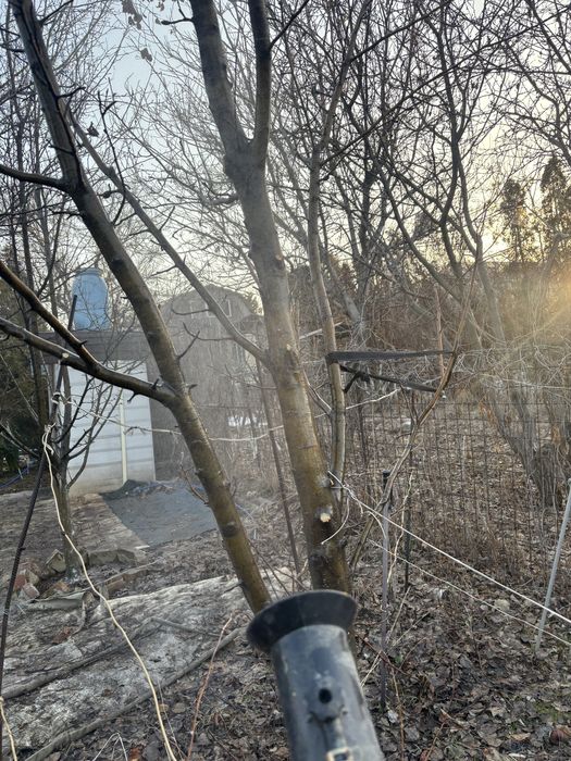 Обработка сада и кустарников