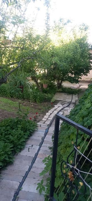 Arzon dacha oila va ulfatlar uchun