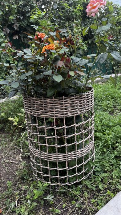 Кустодержатель (опора для цветов)