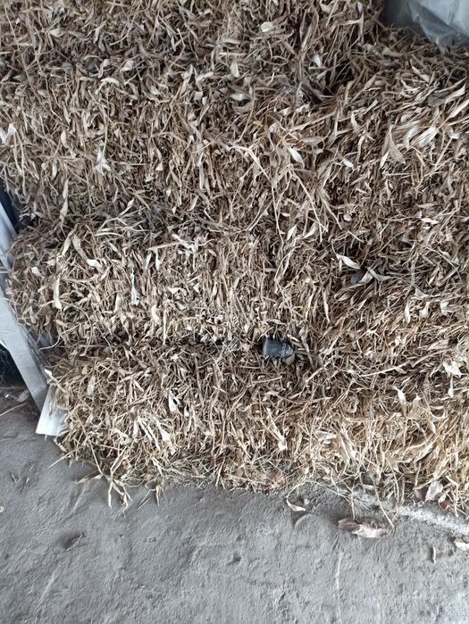 Фасоль пресс сотилади