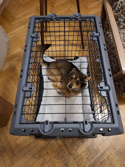 Клетка/крейт за куче Ferplast Superior - 77 / 51 / 55 см.