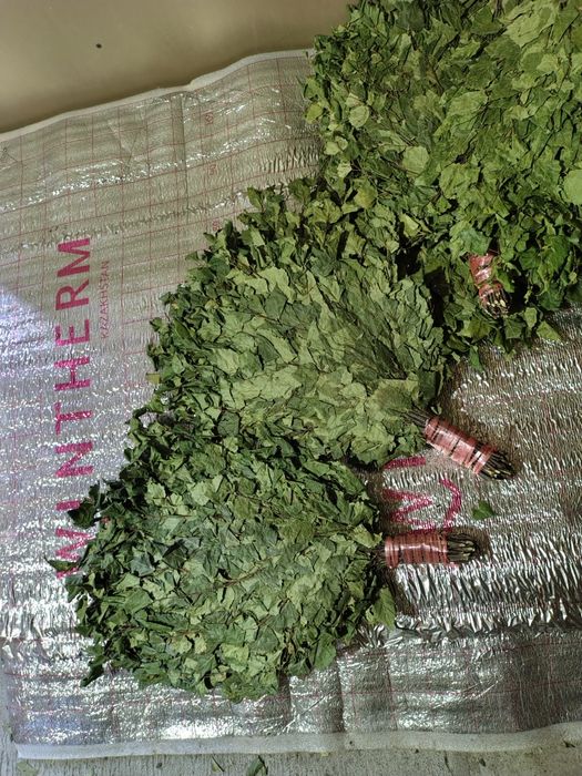 Веники для бани бани