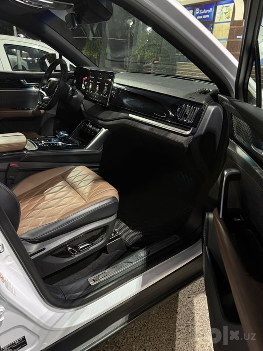 Byd Tang dm-i full