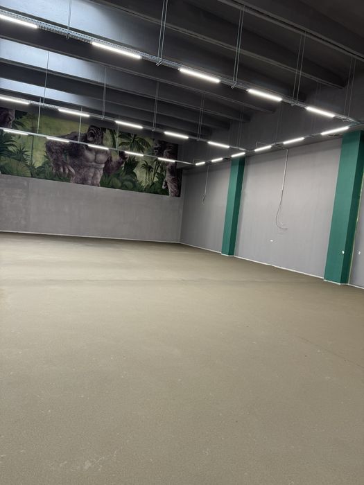 Sapa mecanizata elicopterizata