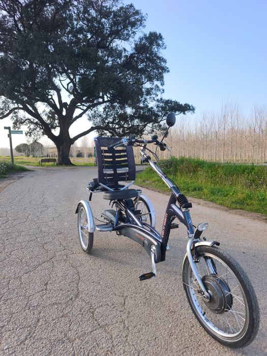 Tricicletă Electrică Adulți Van Raam Easy Rider 2 – Stare Excelentă