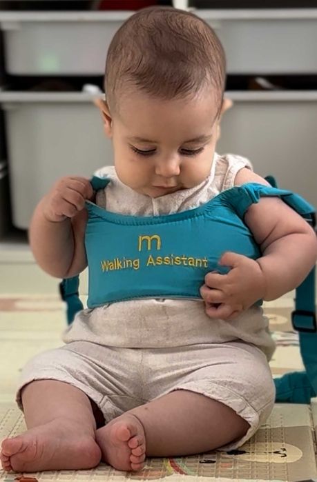 Lichidare de stoc - Ham Premergător