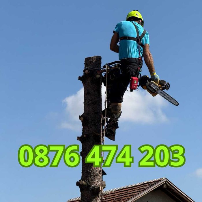 Рязане и кастене на дървета