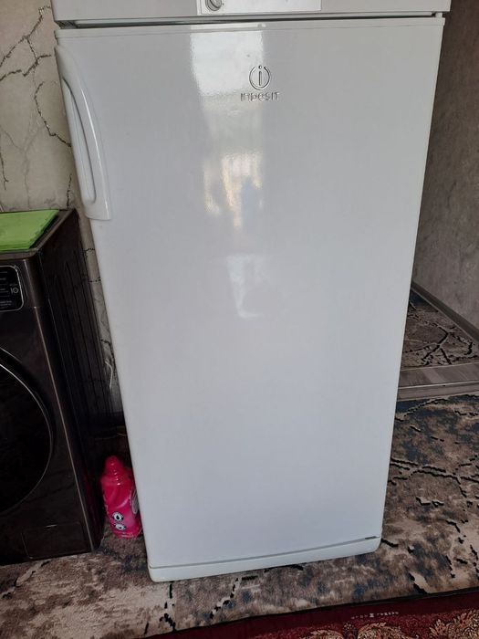 Xolodelnik pashti yangi