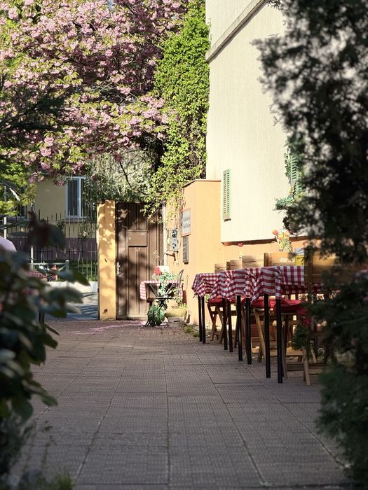 Oportunitate rară – Restaurant în franciză, complet funcțional, la cheie