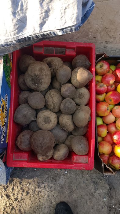 Продукты питания