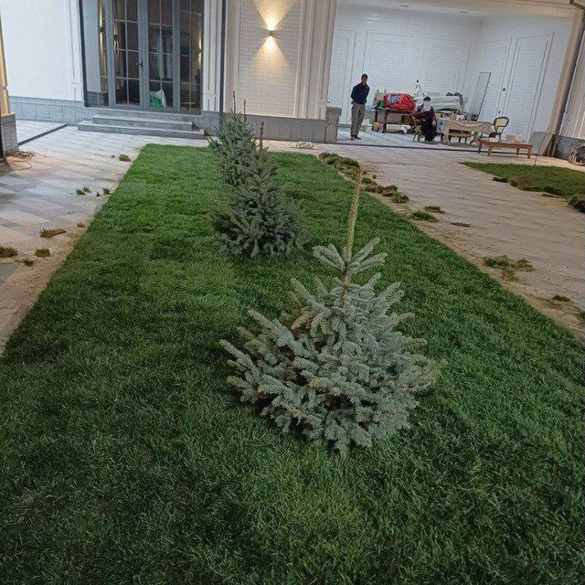 Archa gul kesish gazon ekish tayor gazon bosish archa gul ekish xat xi