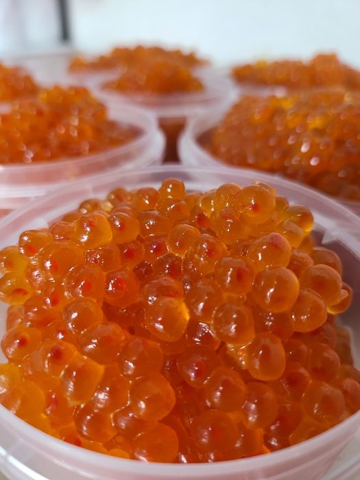 Икра горбуши. Лососевая икра. Икра форели.