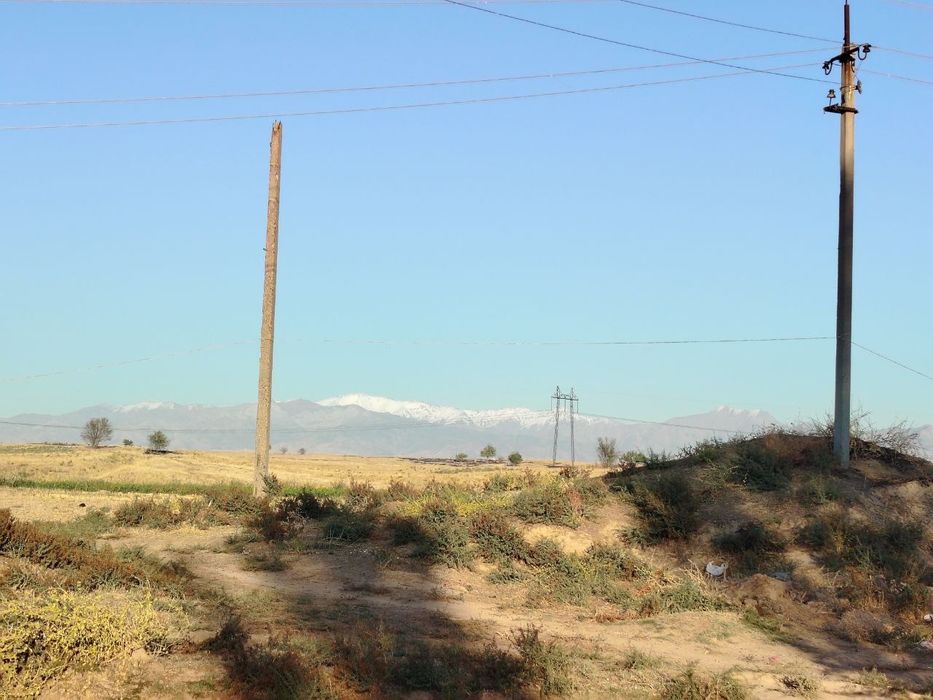 Юкоричирчик т. Уртасарой Нурлизамин