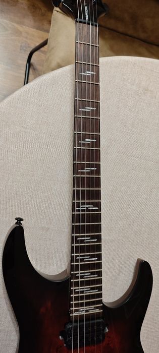 Електрическа Китара Шектър/Schecter