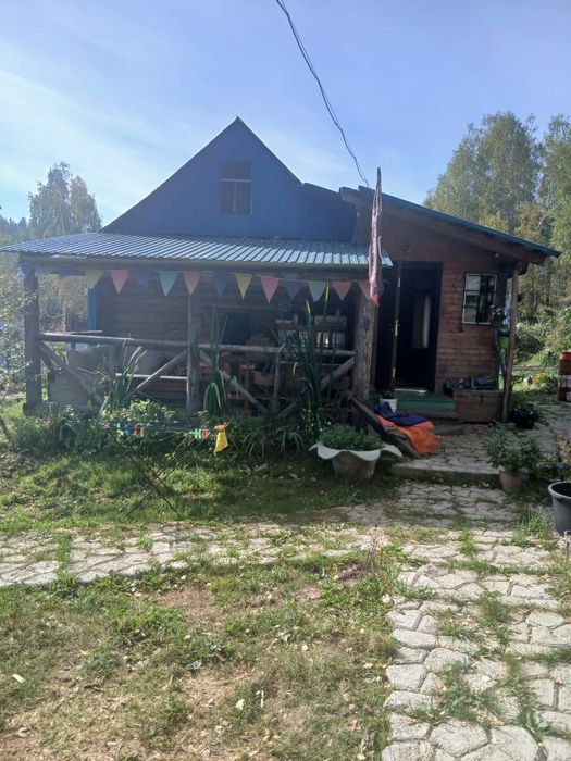 Продам дачу_пасеку на шаравке