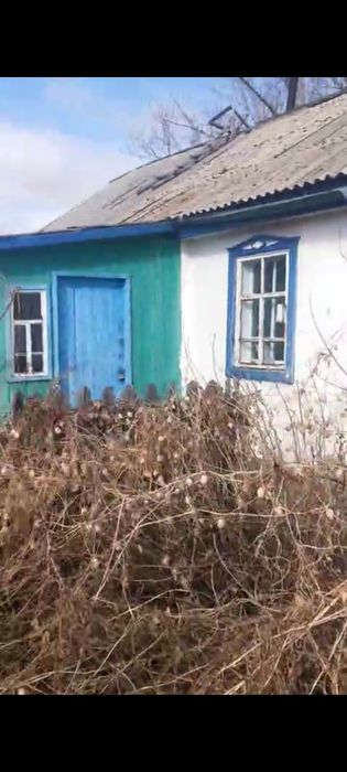 Продам два дома на одной территории один участок