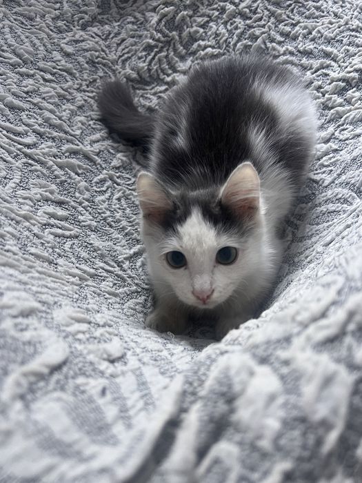 малыш нуждается в доме