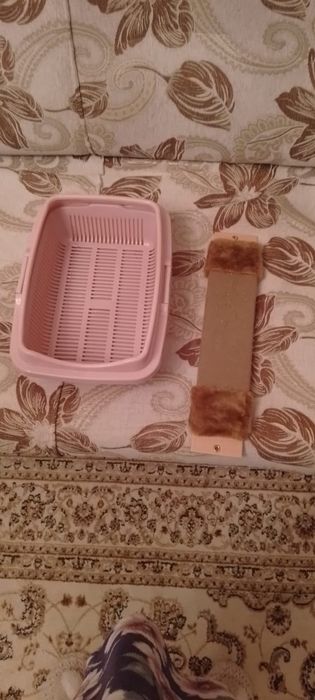 Продам лоток и когтеточку