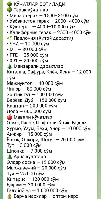 Терак кучатлари ва бошка турдаги кучатлар