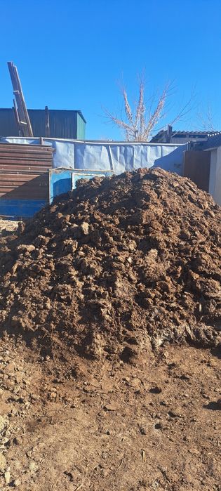 Көн тегін бір камаз