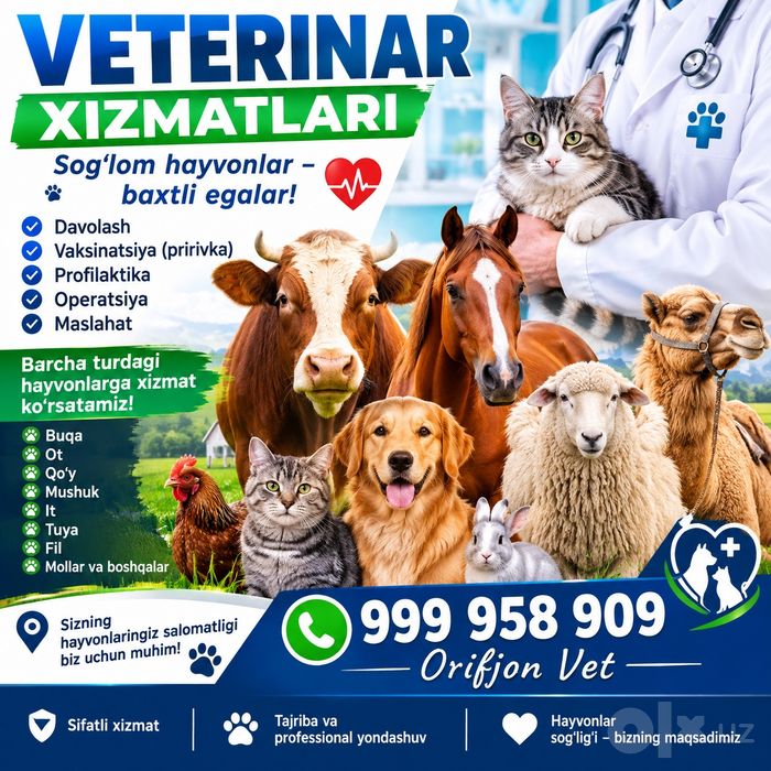 Uyxayvonlarin davolash xizmati
