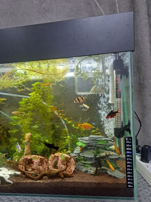 Продам аквариум  70 литров