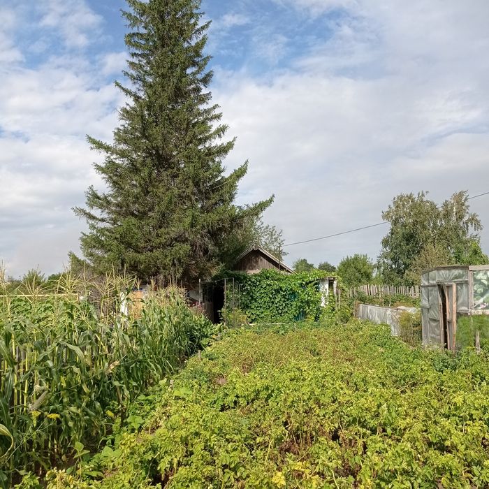 Прода м дачу сад Южной