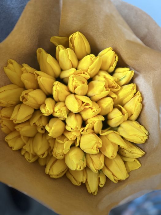 Продам тюльпаны по доступной цене!