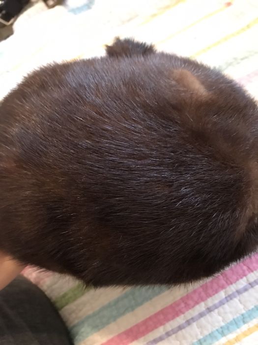 Шапка мужская норковое