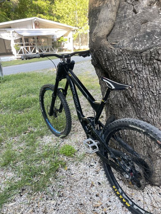 Polygon Collosus DHX