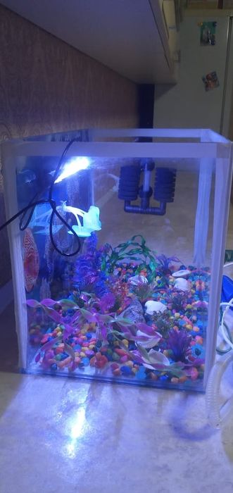 Продам аквариум в комплекте