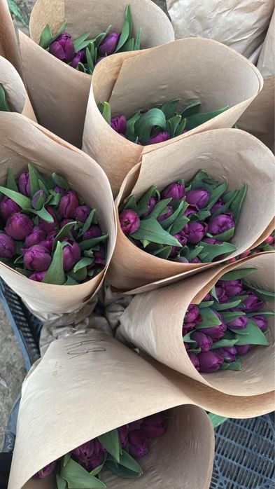 Тюльпаны оптом бесплатное хранение