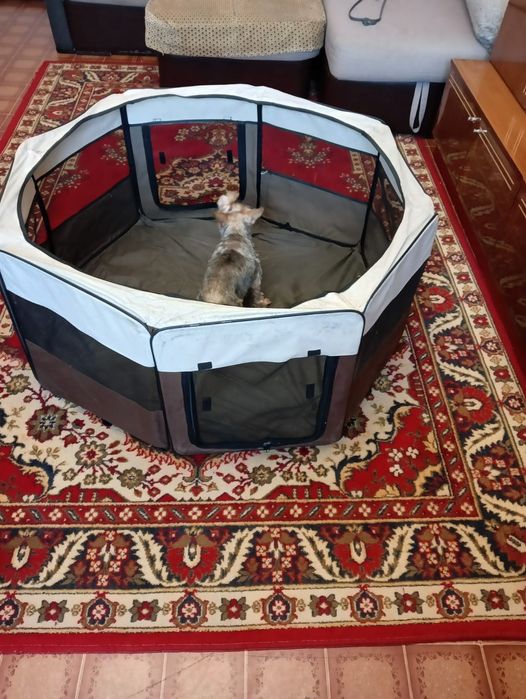 Манеж сборный для собачки
