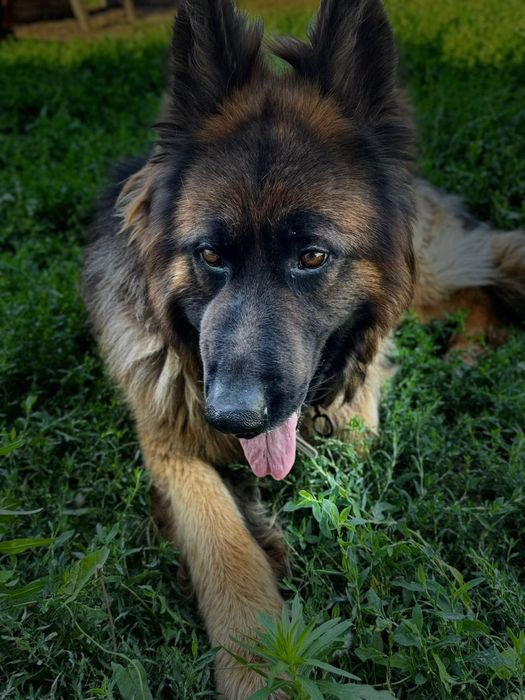 Молодой красивый кабель