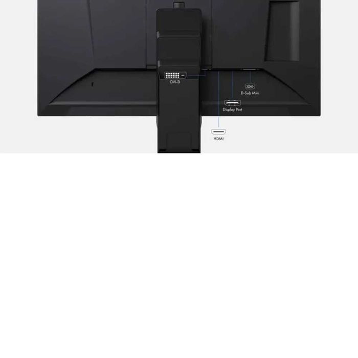 Професионален монитор Eizo EV2456 Б статус с 12 месеца гаранция, черен