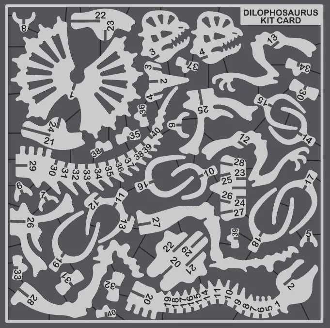 Puzzle 3D Dilophosaurus