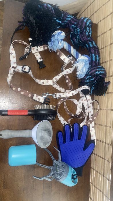 accesorii pentru caini