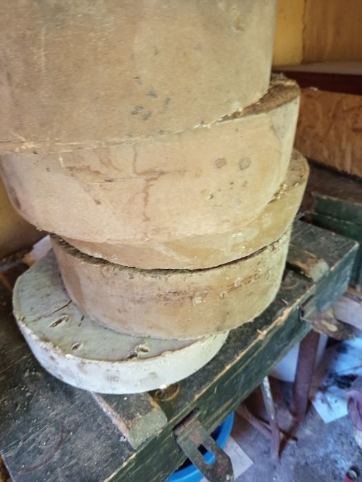 Apicultura albine
