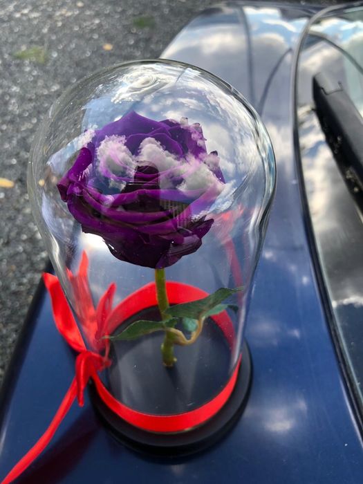 Trandafiri criogenati conservati rezistenti in timp cu o viata lunga