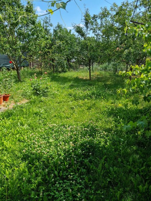 2 case in aceeasi curte, centru Ramnicu Valcea