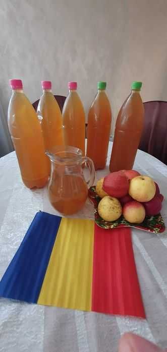 Suc de mere BIO 100%