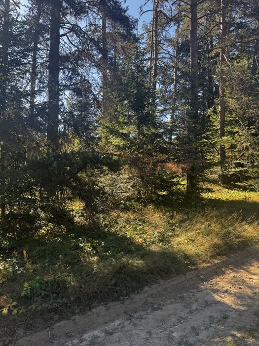 Парцел Цигов чарк 1250 Кв.м