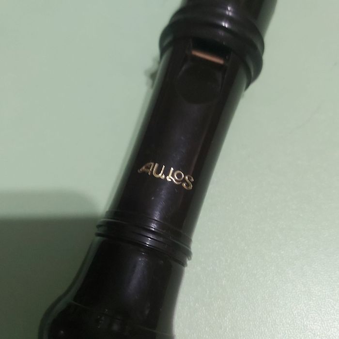 Vând Fluier Aules 505
